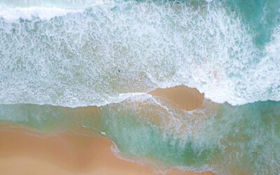 2017/2018 Annual Report